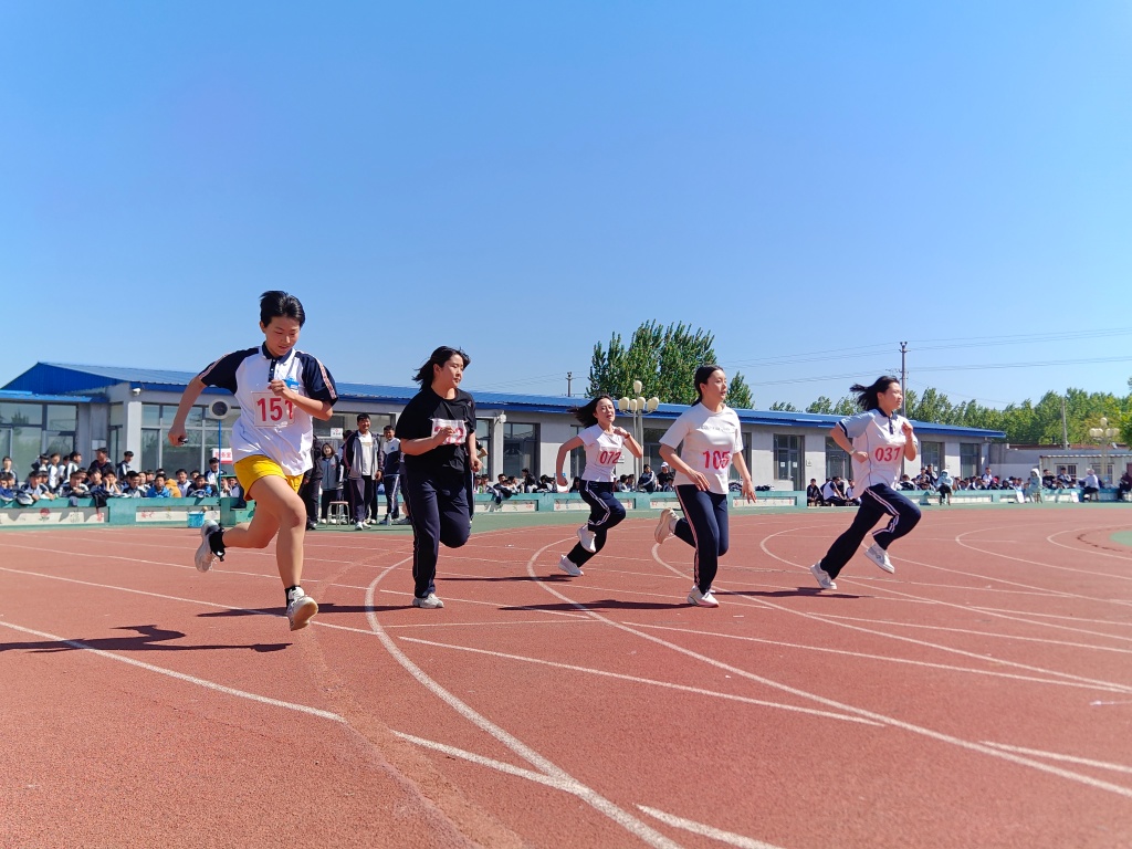 8316b54a1b28175c3365dae5765c739f.jpg
