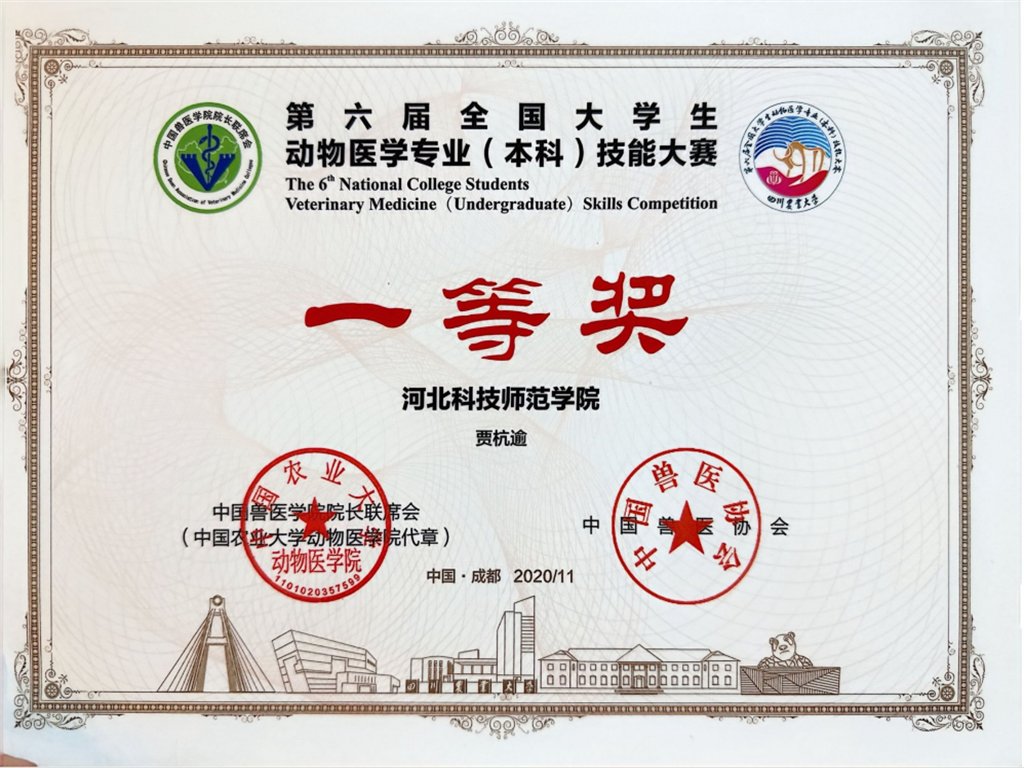 f603bf8c46a30dad335022adfaf07558.png